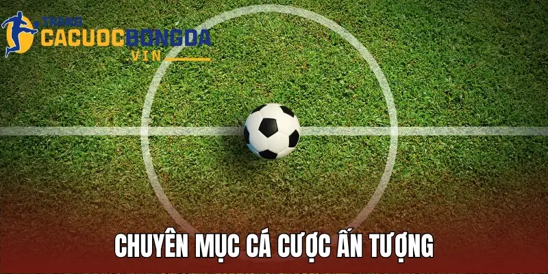 Chuyên mục cá cược ấn tượng, thu hút mọi ánh nhìn tại thương hiệu