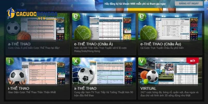 Dấu hiệu nhận biết điểm đến kém chất lượng trên thị trường