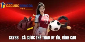 Sky88 - Cá Cược Thể Thao Uy Tín, Trải Nghiệm Đỉnh Cao
