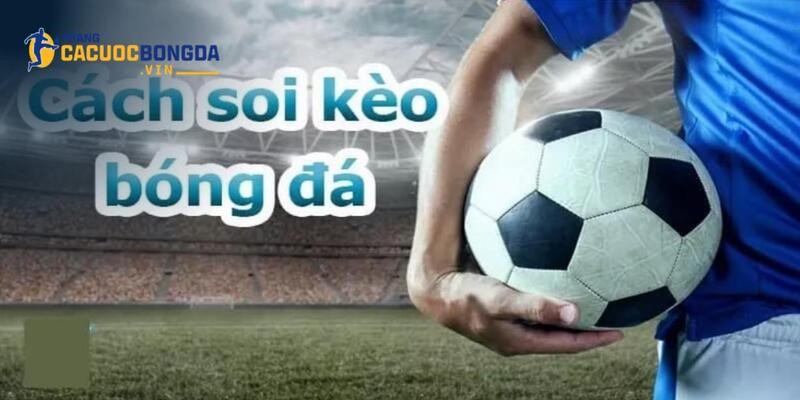 Chiến lược nên áp dụng để mang về nhiều phần thắng