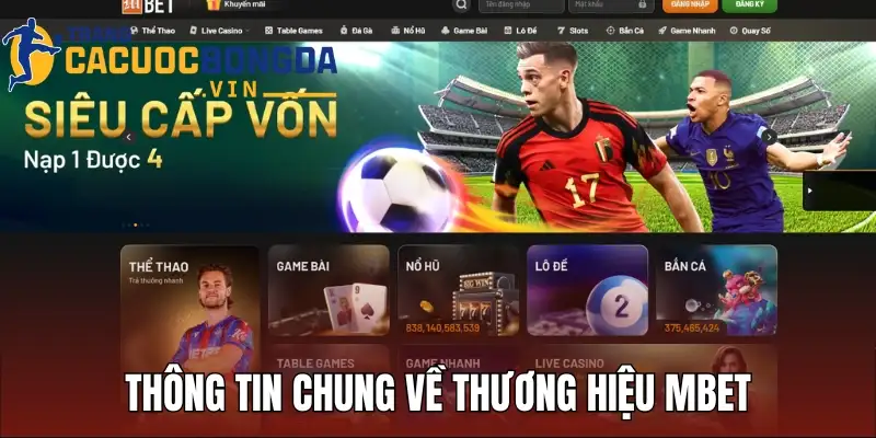 Thông tin chung về thương hiệu Mbet trên thị trường