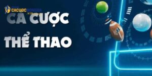 Vin88 Thể Thao Trực Tuyến - Tâm Điểm Chú Ý Hàng Đầu 2025