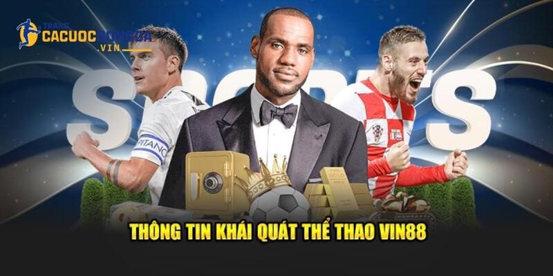 Giới thiệu cho người chơi mới về điểm đến thể thao Vin88