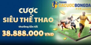 Zbet - Trang Chủ Nhà Cái Bóng Đá Cực Chất